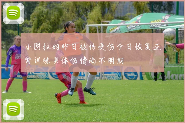 小图拉姆昨日被传受伤今日恢复正常训练具体伤情尚不明朗